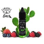 NICSALT CARAVELA 15ML - Imagem 33